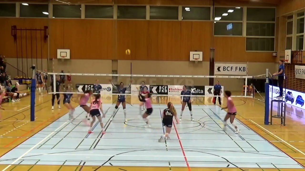 Jill Gillen Highlights 2025 2026