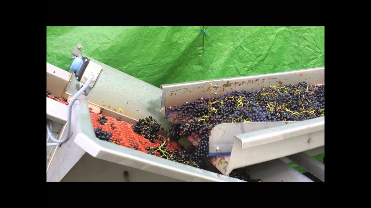 Euroselect - Grapeworks