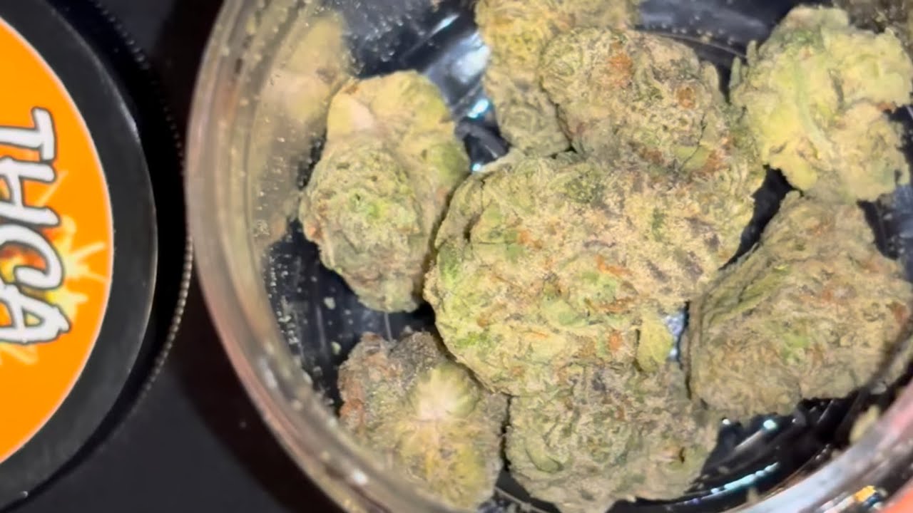 THCA SMALL BUDS ALASKAN ICE REVIEW &ndash; Gas or Pass? 🍃💨