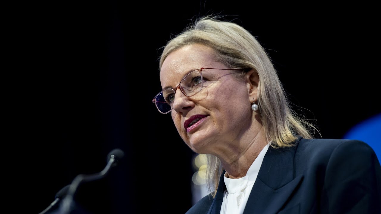 Sussan Ley seen as &lsquo;sensible choice&rsquo; to lead Liberal Party