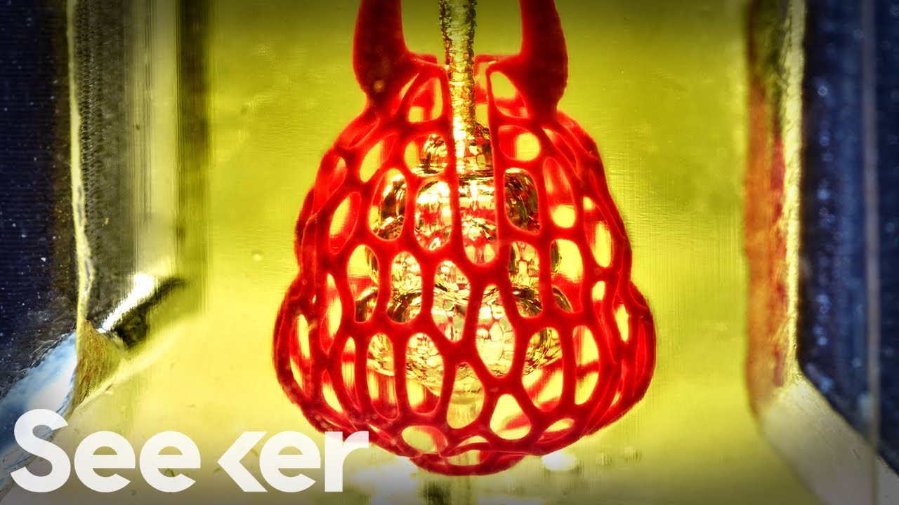 This 3D Bioprinted Organ Just Took Its First 