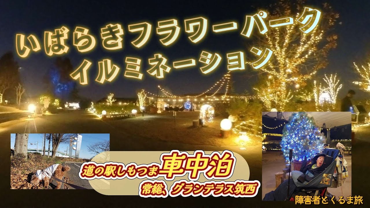 【障害者とくるま旅】いばらきフラワーパークイルミネーション 道の駅しもつま車中泊 ガチャピンズGET