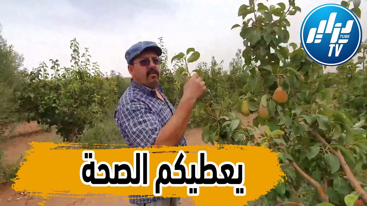 شااهد..مستثمر من ولاية البليدة يحارب الطبيعة ببلدية سيدي عبدلرحمان بتيارت و يحول المنطقة كليا