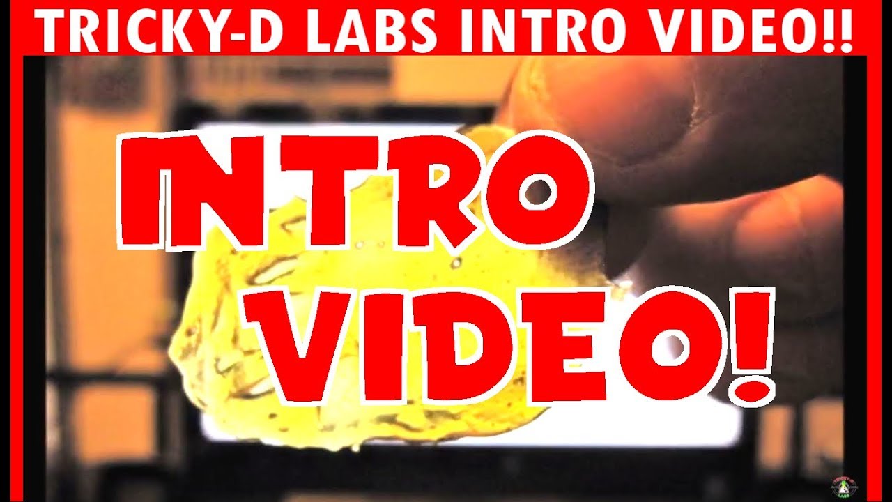 Tricky-D Labs Intro