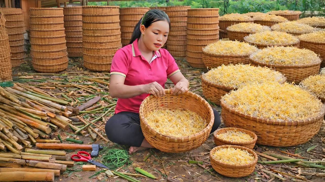 How to Make Baskets from Forest Bamboo to Grow Bean Sprouts for Sale at the Market - Rural Life