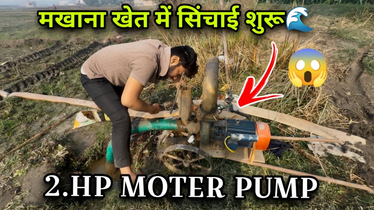 Makhana Khet Mein Sinchai Shuru 💦🚜 | 2 HP Motor Pump Se Pani | Desi Village Vlogs