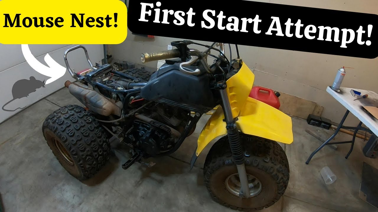Yamaha 225DX 1st Start Attempt #atv #willitrun #yamaha