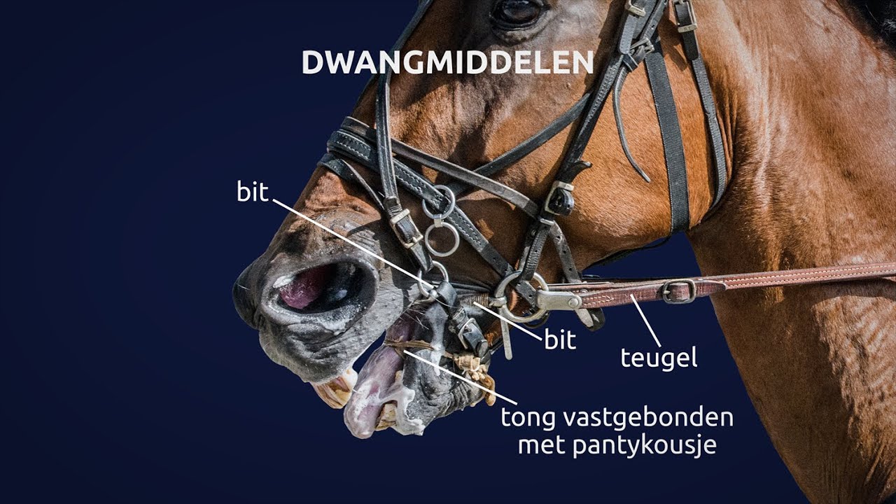 Drafsport? Onsportief!