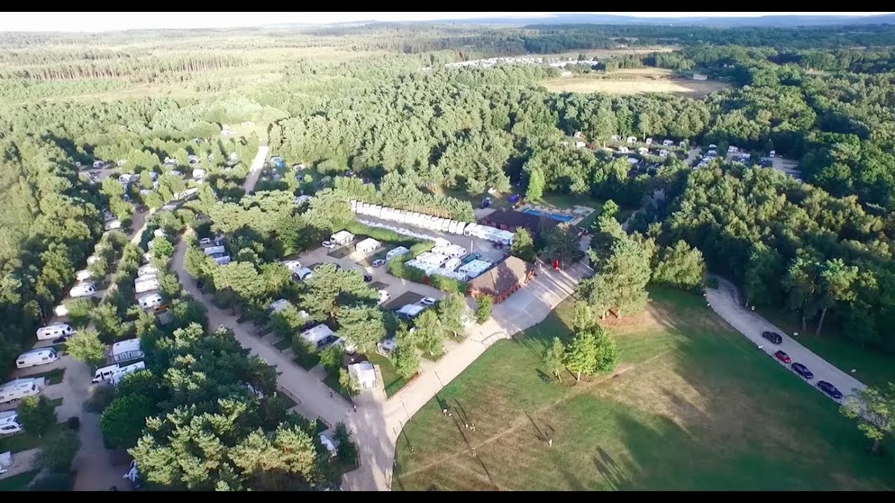 Practical Motorhome visits Wareham Forest Tourist Park