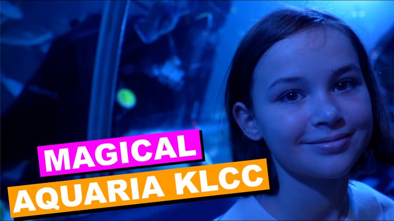 Discovering the Wonders of the Kuala Lumpur Aquarium 🐠🐙 | Family Fun Underwater! 👨‍👩‍👧‍👦✨