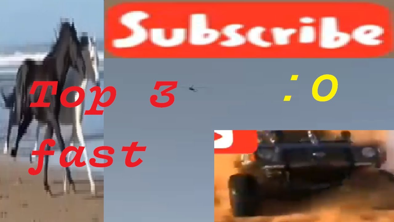 Top 3 Fastest Objects