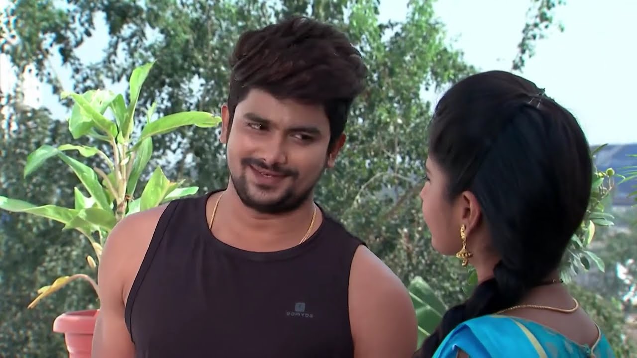 Kalyana Vaibhogam - Ep 453 - Meghana Lokesh - Telugu Tv Serial - Zee5 Telugu Classics
