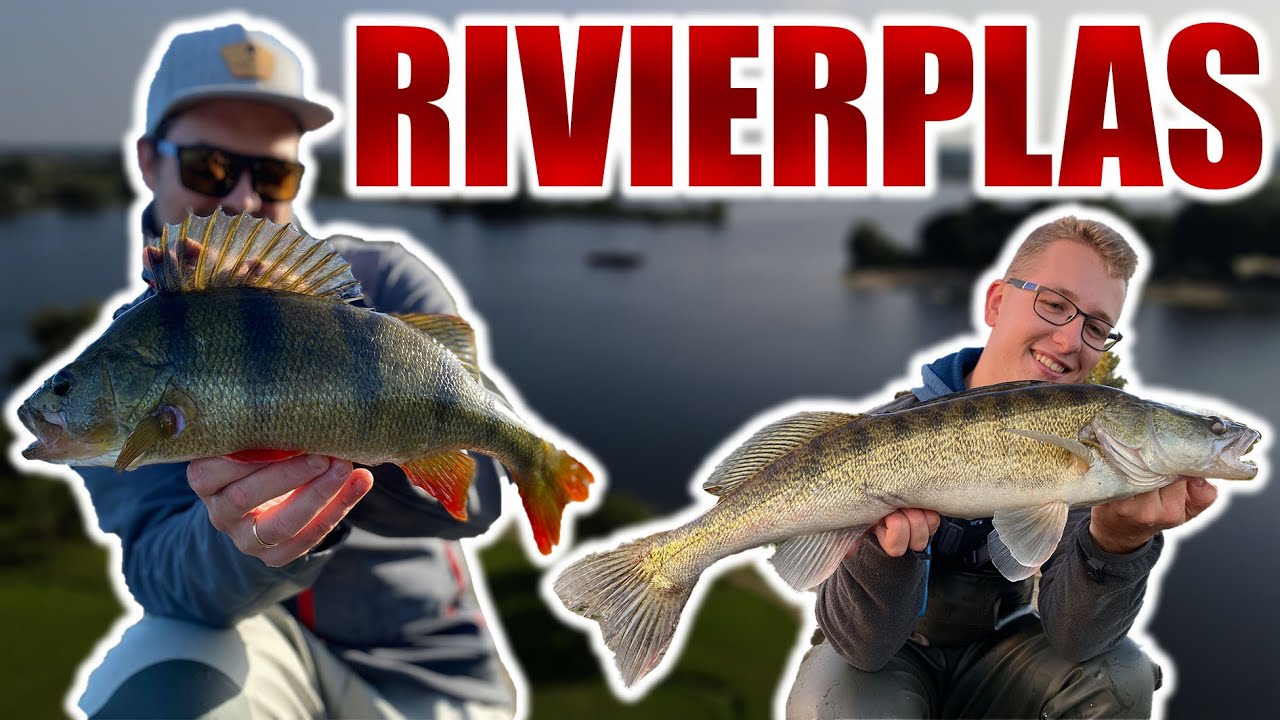 SNOEKBAARZEN Op Een RIVIERPLAS?!