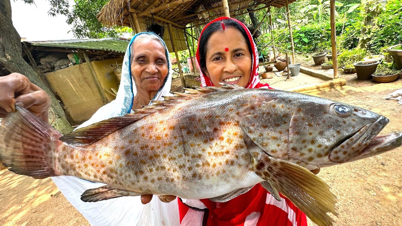 2.5 kg ওজনের কৈ-ভোল মাছ ভাজা সঙ্গে বাগানের তাজা লাউ দিয়ে মাছের মাথার তরকারি | villfood recipes