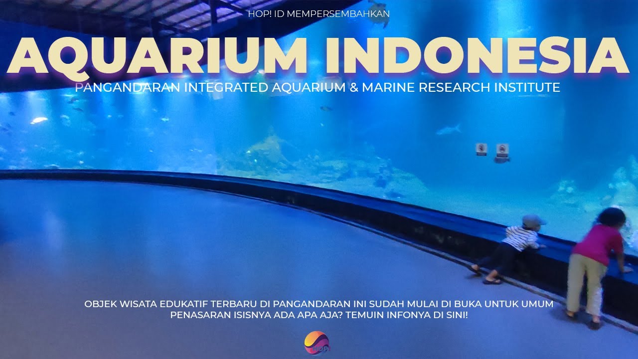 Aquarium Terpanjang Di Dunia Ada Di Pangandaran Tiket Masih Buy 1 Get 1 ! Tonton Sebelum Ke Sini!