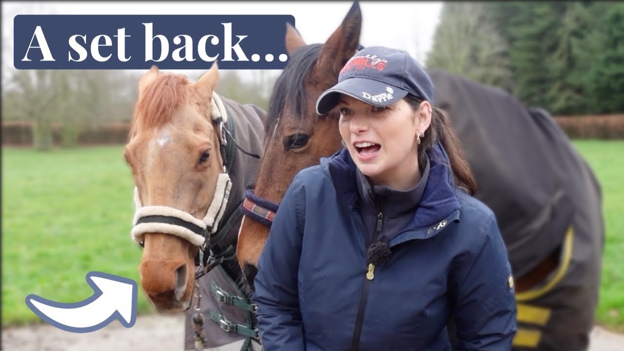 Ember's work is *temporarily* put on hold!