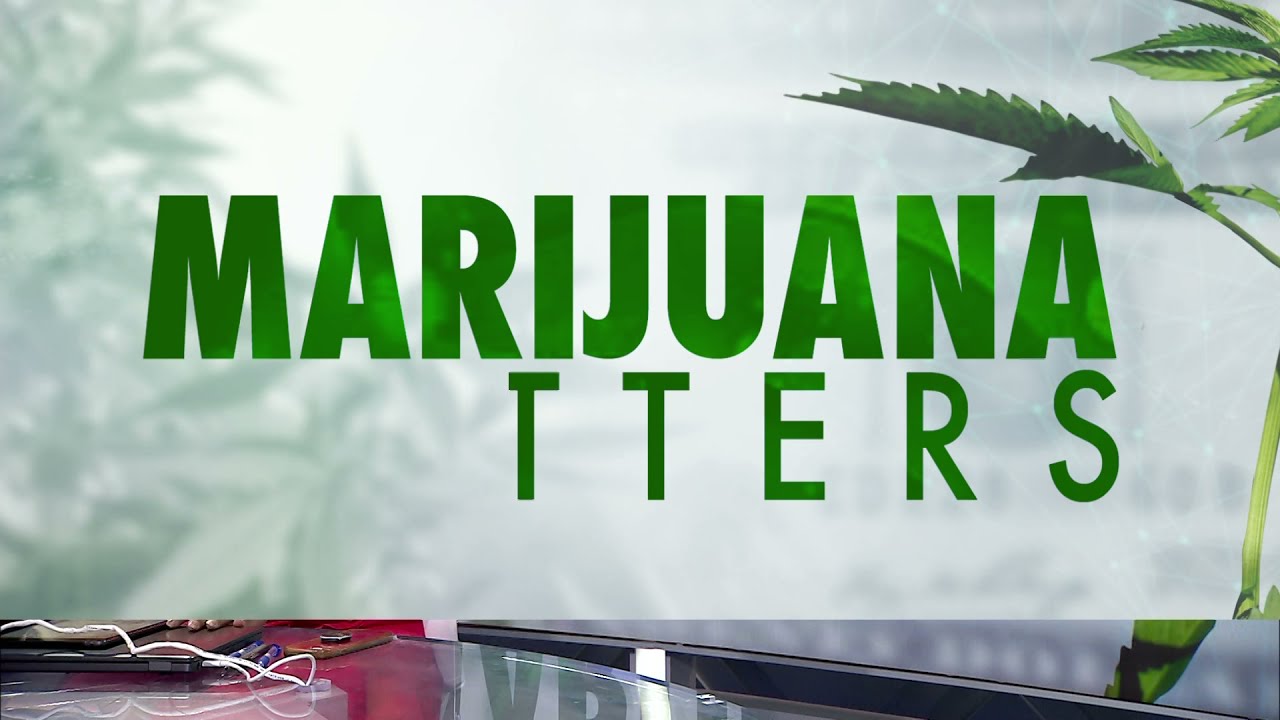 New state law allows medical marijuana users over age of 18 to grow up to 12 marijuana plants