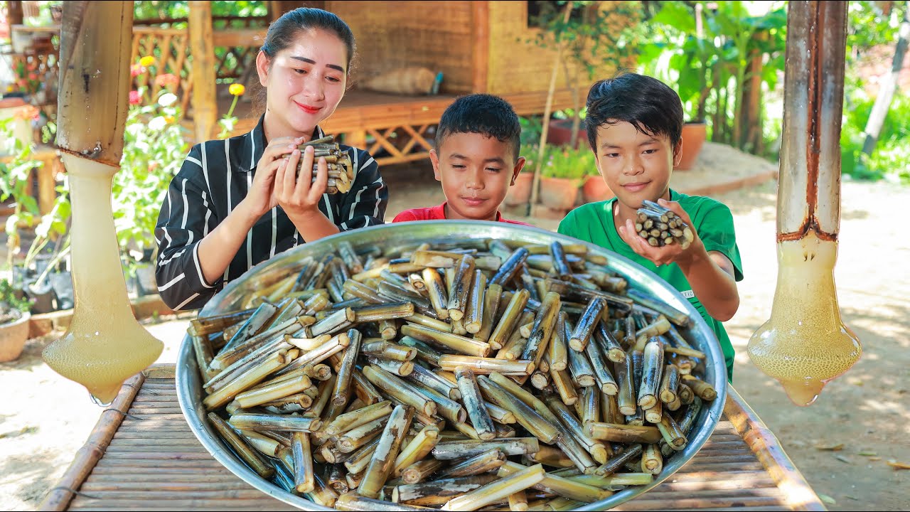 Have you ever seen this creature before | The Razor clam season in my homeland | Razor clam recipe