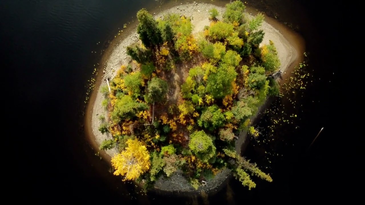 An Island at Chapman Lake | BC, Canada