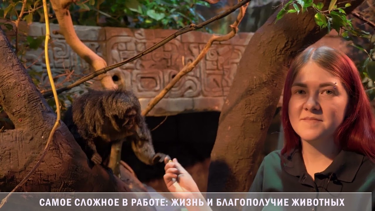 160 лет большой зоологической мечте