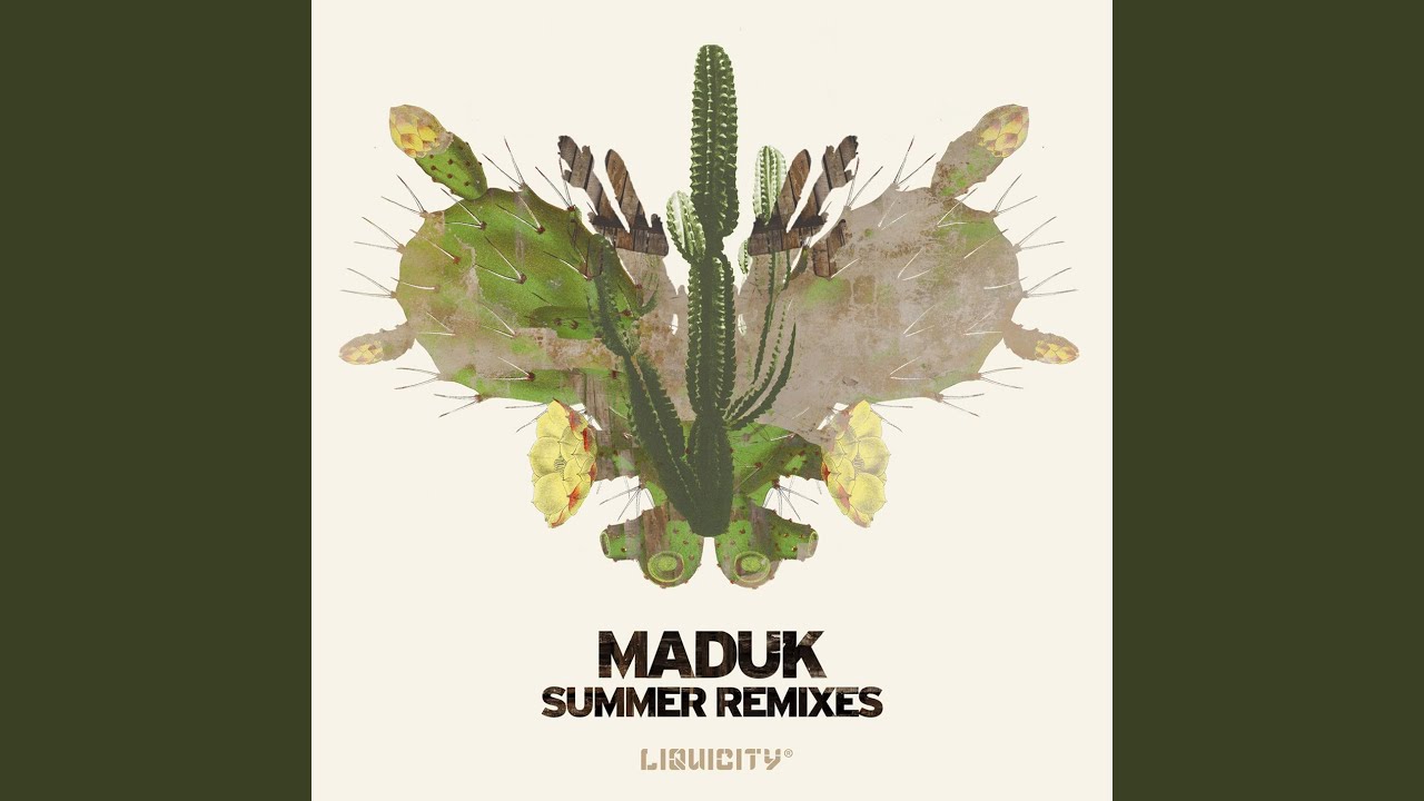 Rollercoaster (Maduk Remix)