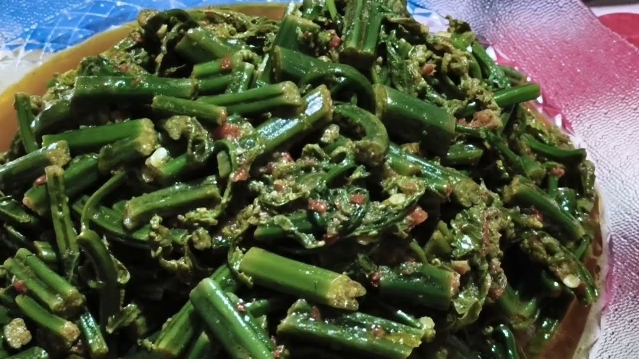 Ternyata Begini Cara Mendapatkan Oleh-Oleh Unik dari Hutan - Petik Sayur Hutan yang Bikin Nagih!