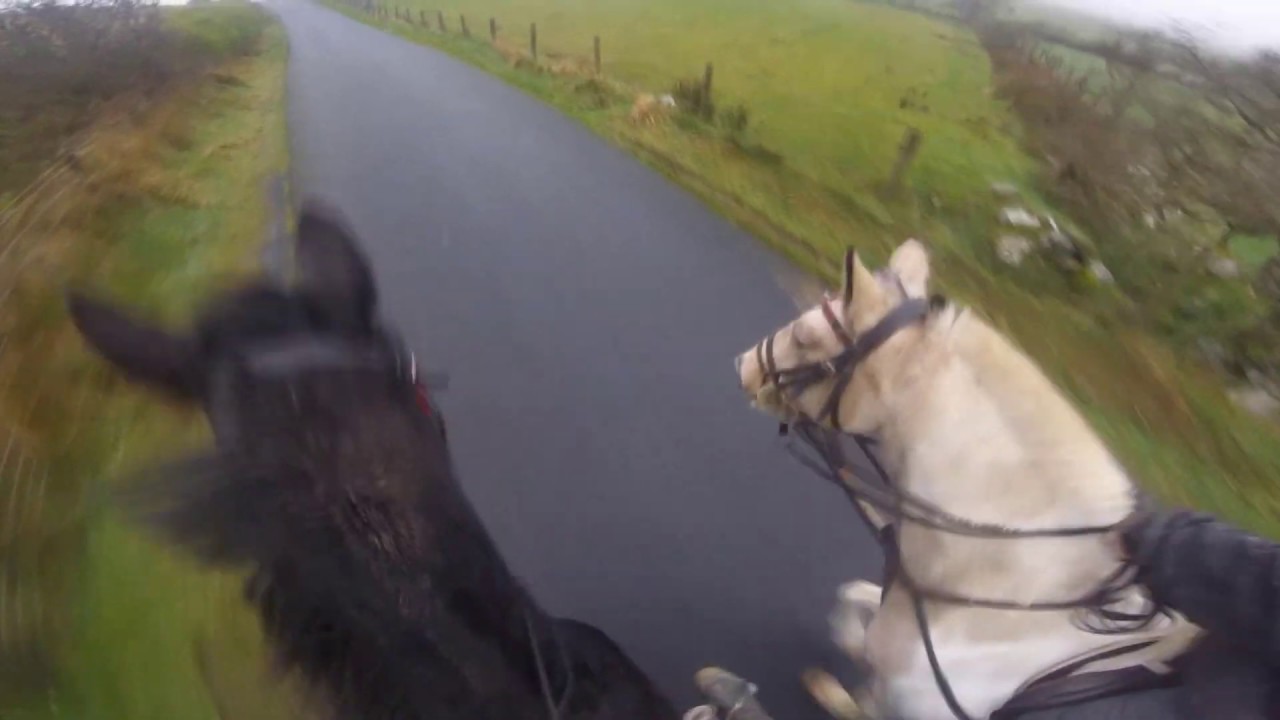 Horse Riding in Drumkeeragh Forest