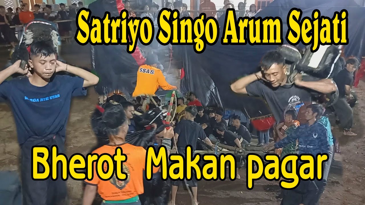 Bantengan Satriyo Singo Arum Sejati. Payah bherot malah makan pagar. Part.1