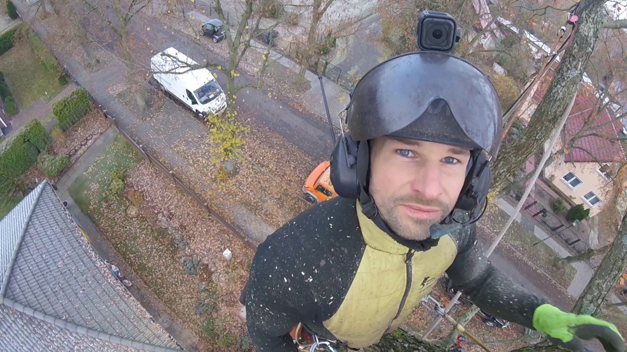 2. Praxisvideo mit dem Spiderjack 3 -Oak Tree felling