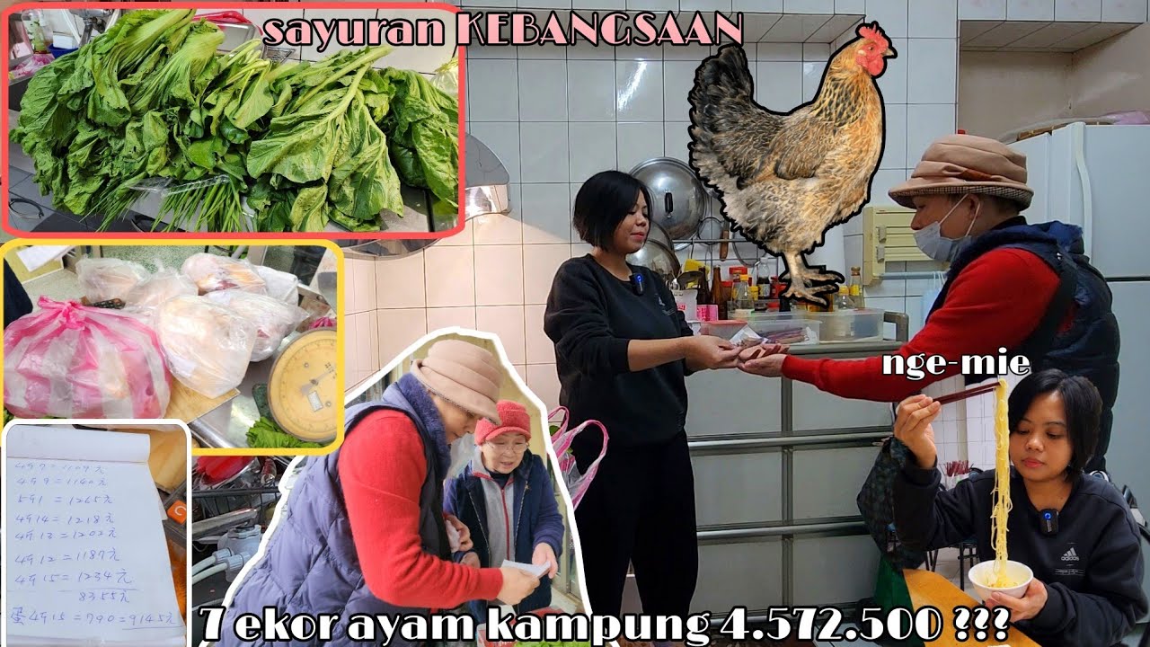 SEKARANG NYONYA PULANG JEMPUT KAMU YUK ‼️HARGA AYAM BISA DI BELIIN KAMBING 1 EKOR