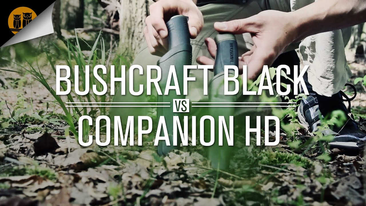 Mora Bushcraft Black vs Mora Companion Heavy Duty • Bushcraft Knives