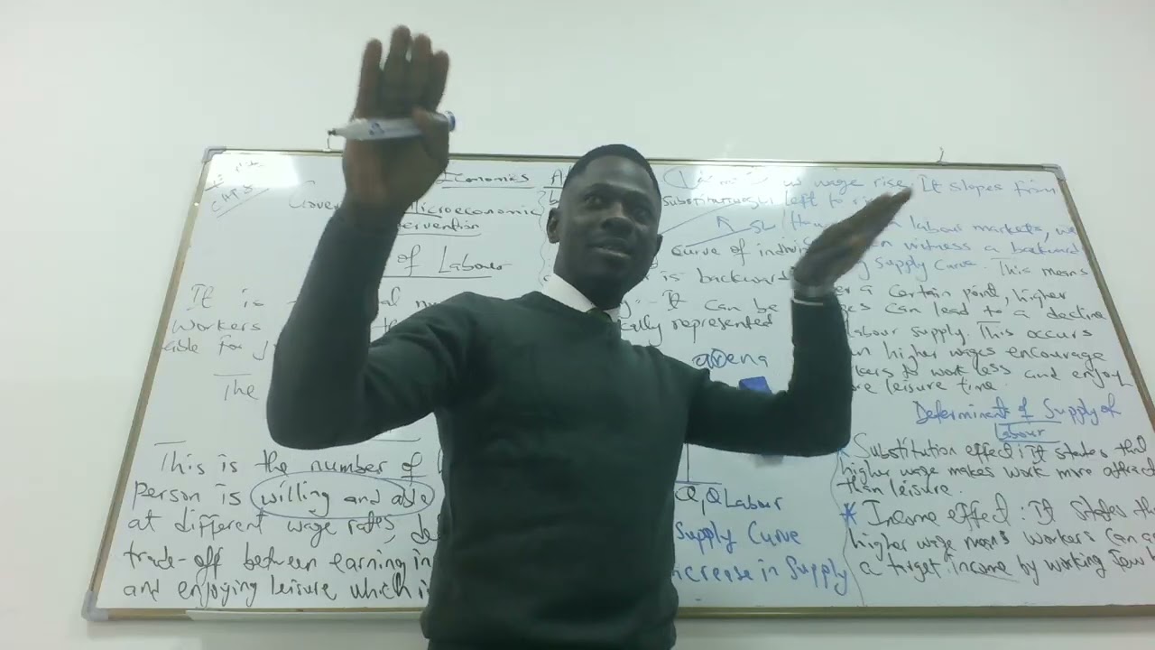 Economics AL(Individual Supply of Labour)