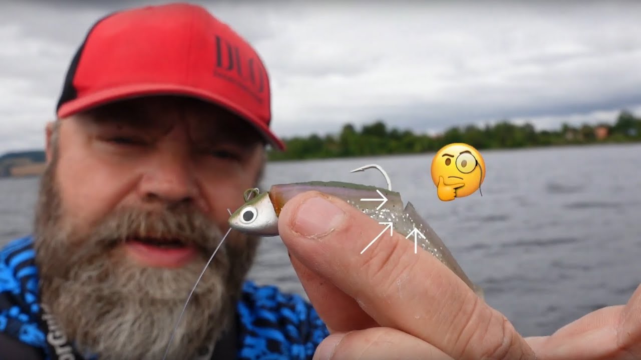 Vrien abbor og ørretbonus - Høst på Mjøsa