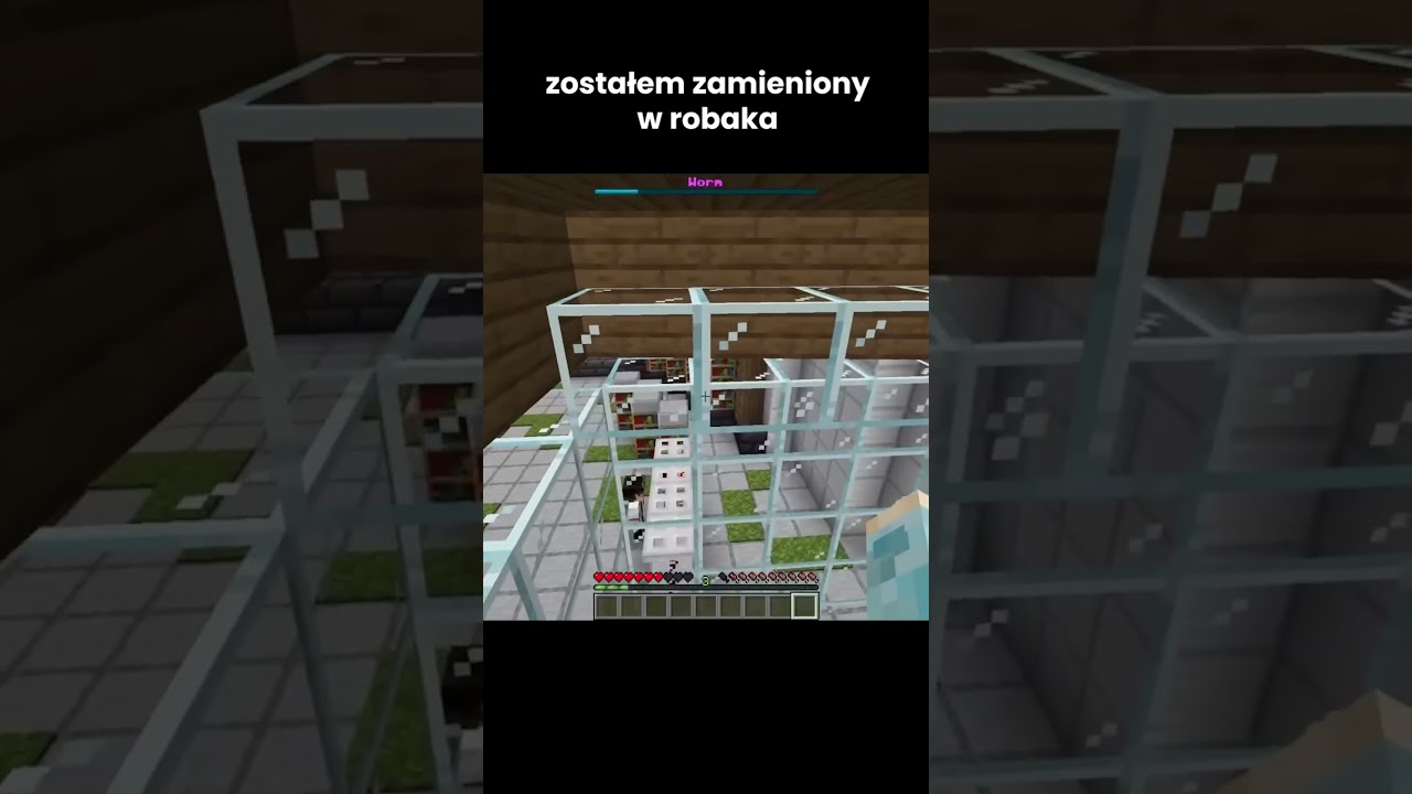 ZOSTAŁEM ZAMIENIONY W ROBAKA!