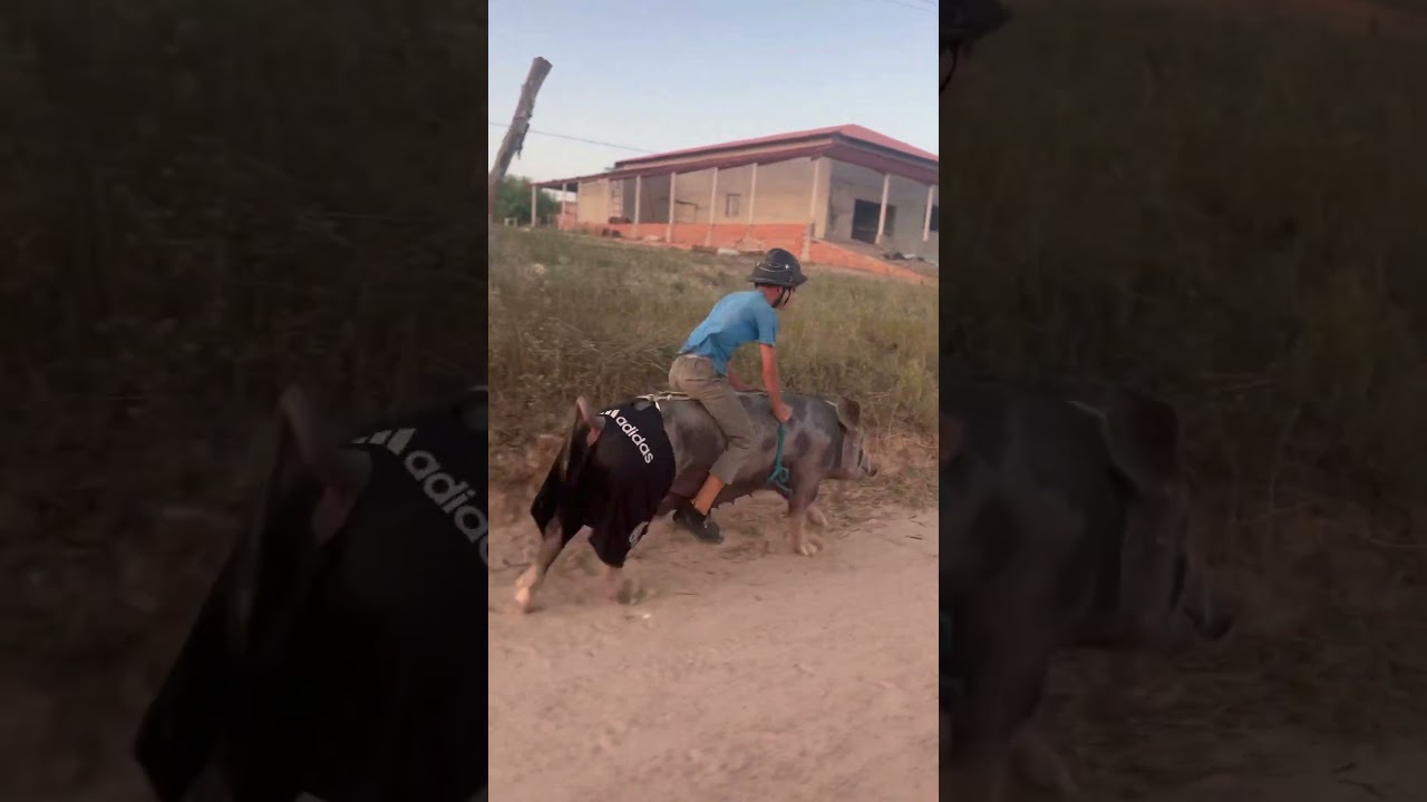 Segurar 🤣🤣