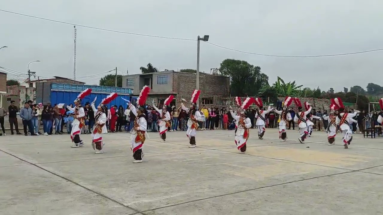 SANGRES PERUANAS Shacshas de huaraz-Pasacalle BARRANCA-Puente Bolivar