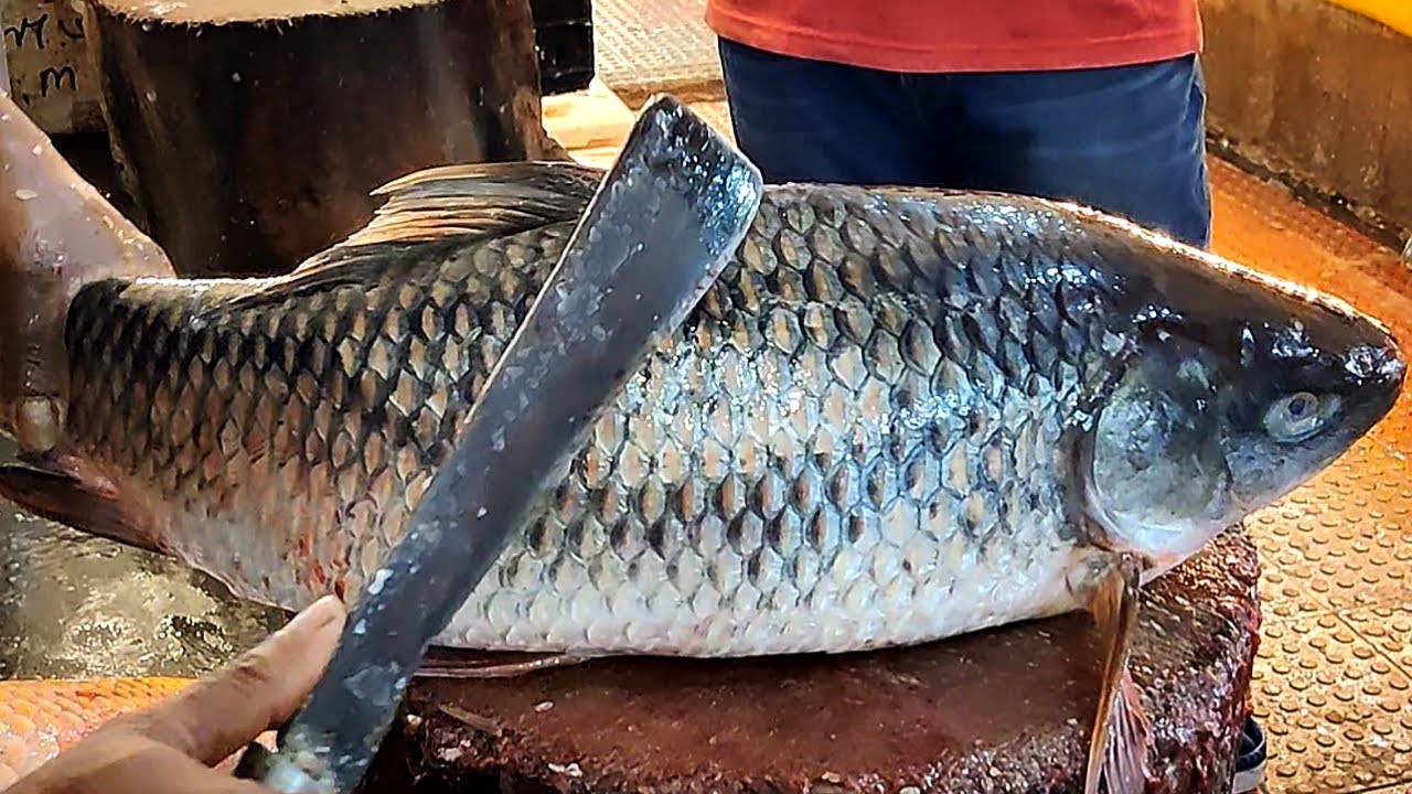 Amazing Fishing Cut Video | Big Rohu Fish Scaling & Chopping By Expert Fish Cutter