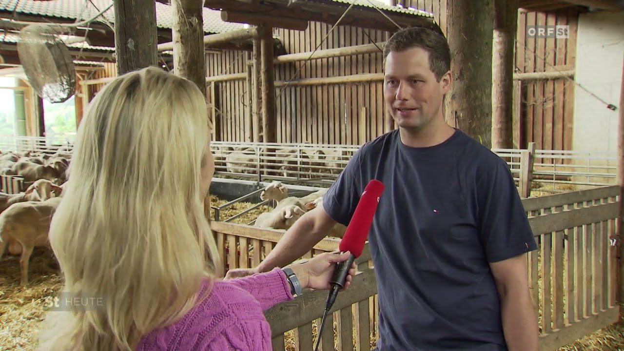 Steirische Landwirtschaft: Weizer Schafbauern