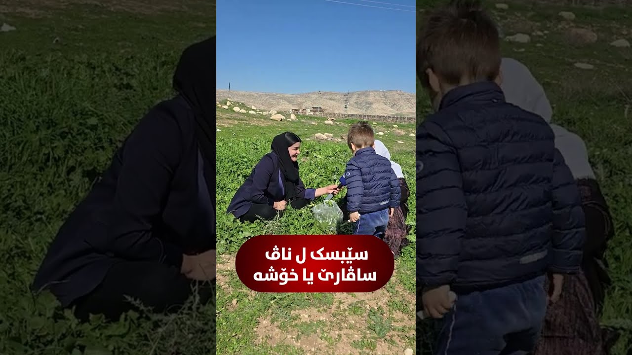 سێبسک ل ناڤ ساڤارێ یا خۆشە، تۆلک ژی ل ناڤ هێکان