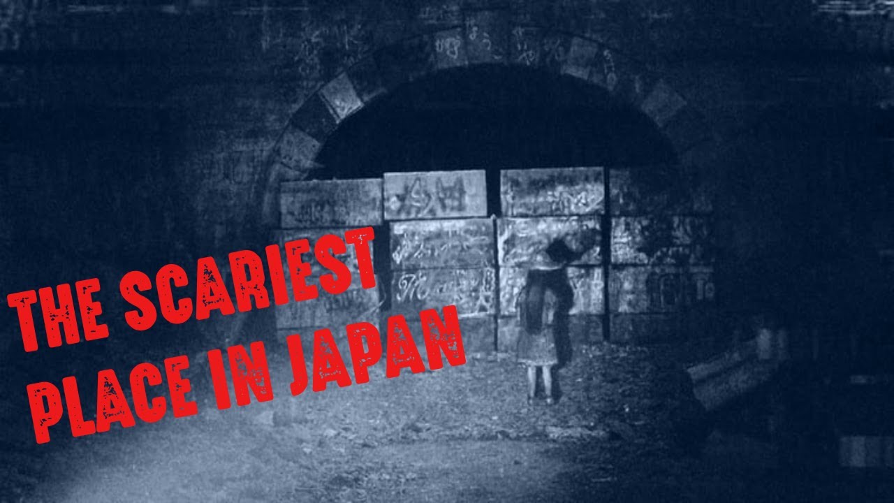 TUNNEL ANUNAKI: Where the Japanese Constitution no longer applies