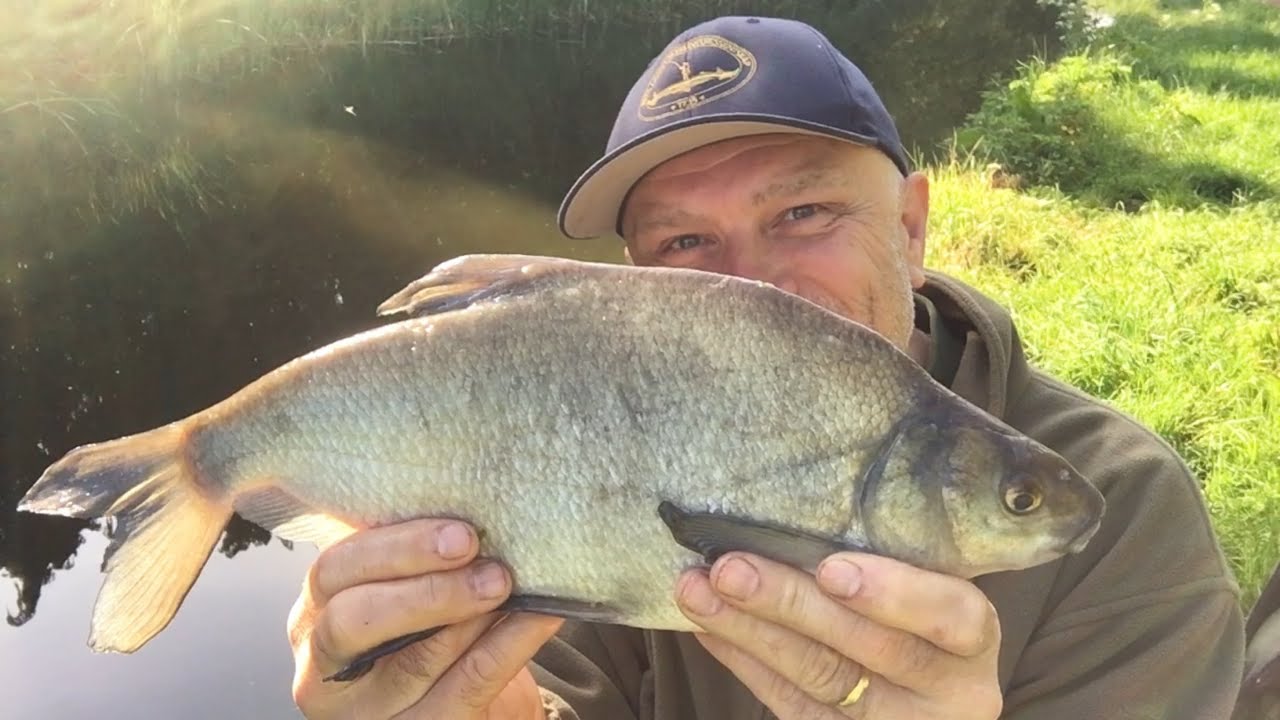 Four species of fish on the canal and angling tales from Norway and Romania