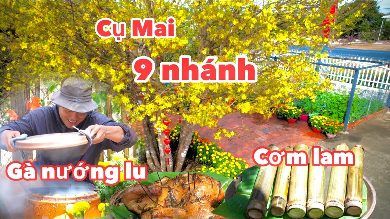  Độc Lạ Cây Mai 9 Nhánh & Món Gà Nướng Lu Ngày Mùng 4 Tết 2026