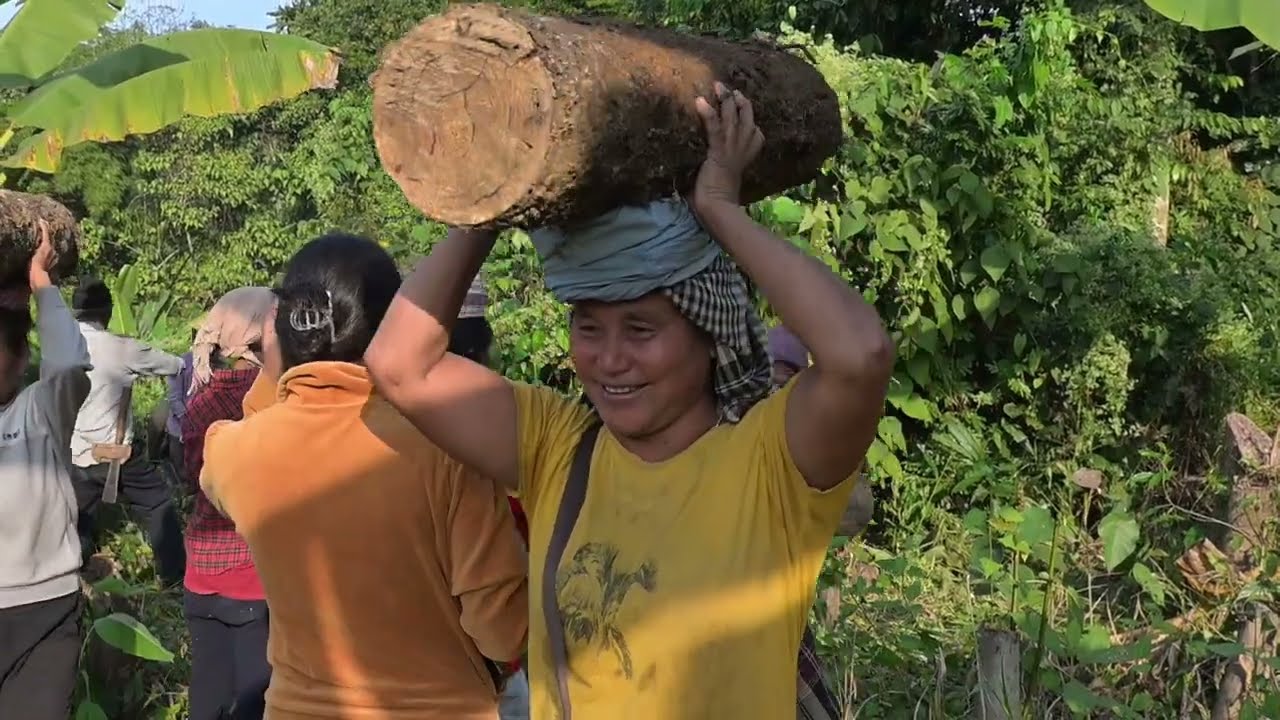 Firewood Collection for Christmas & New Year Festivities! | Village Life Daily Vlogs