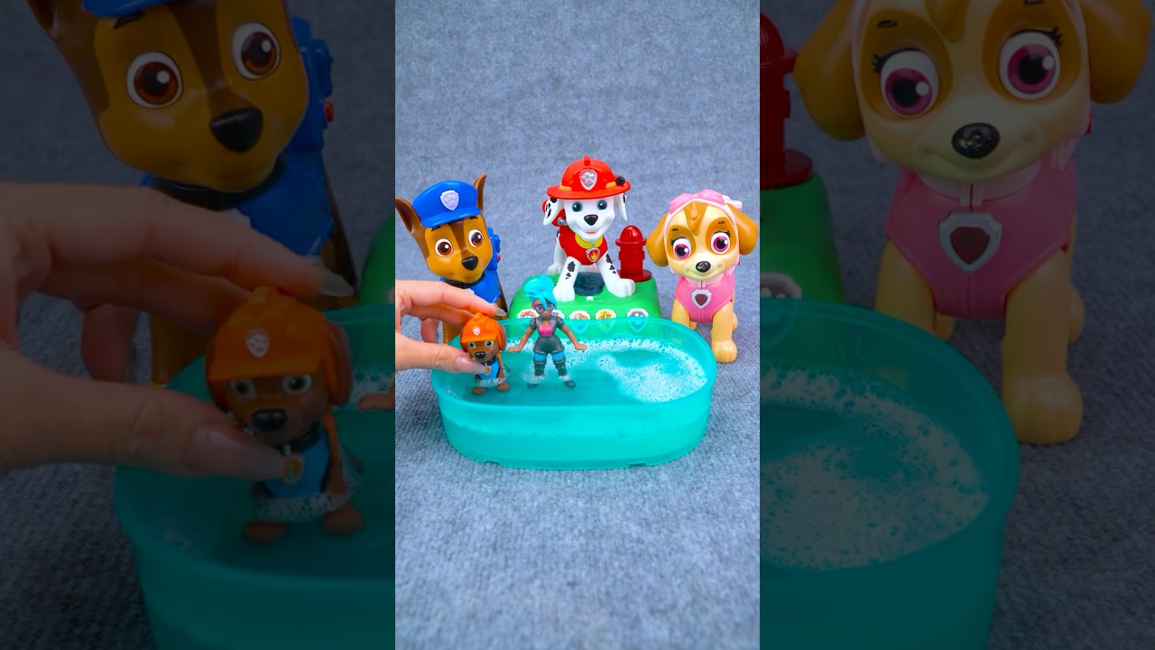 Relaxing Unboxing Experience with Paw Patrol Toy for US Collectors 🇺🇸 