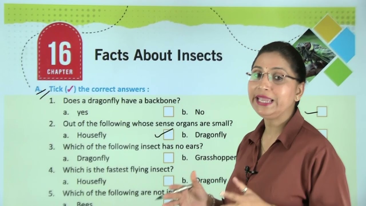 Ch 16  | Facts About Insects | My Gk & Moral Book | Class 04 | Growing Mind | For children