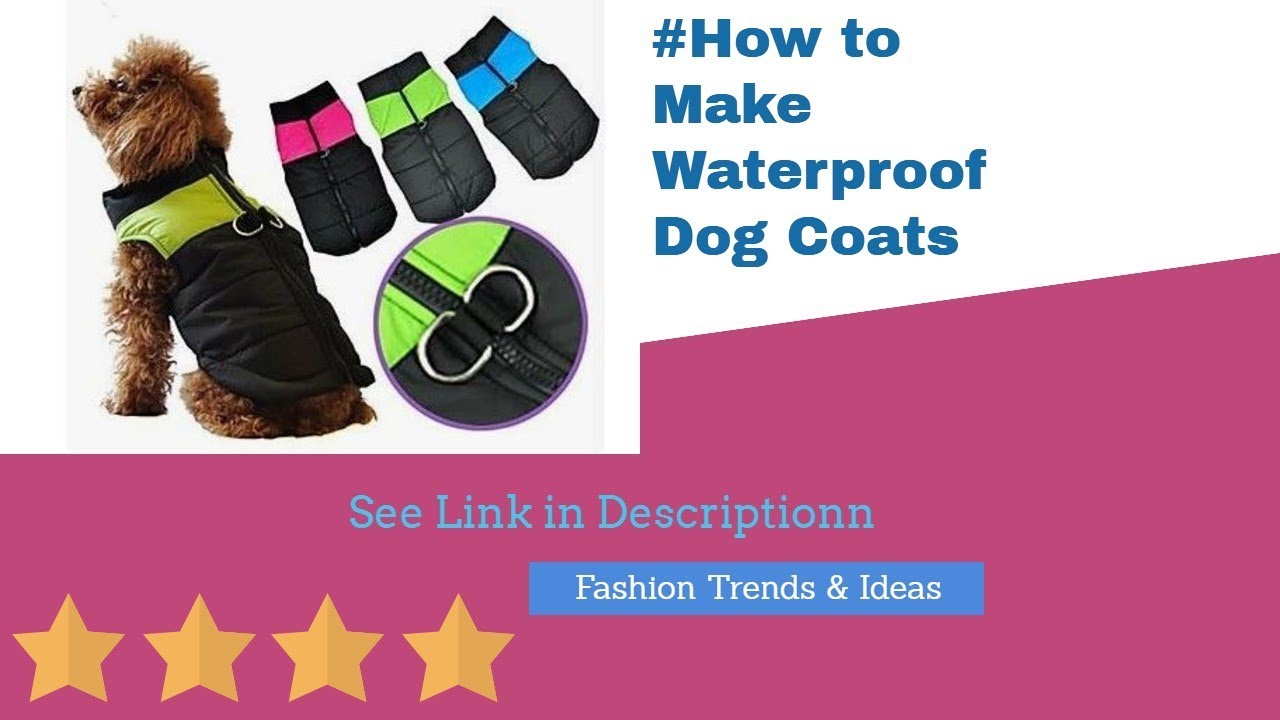 Does  Large Dog Coats For Winter  Really Works - For Dogs: The Great White North Winter Coat By