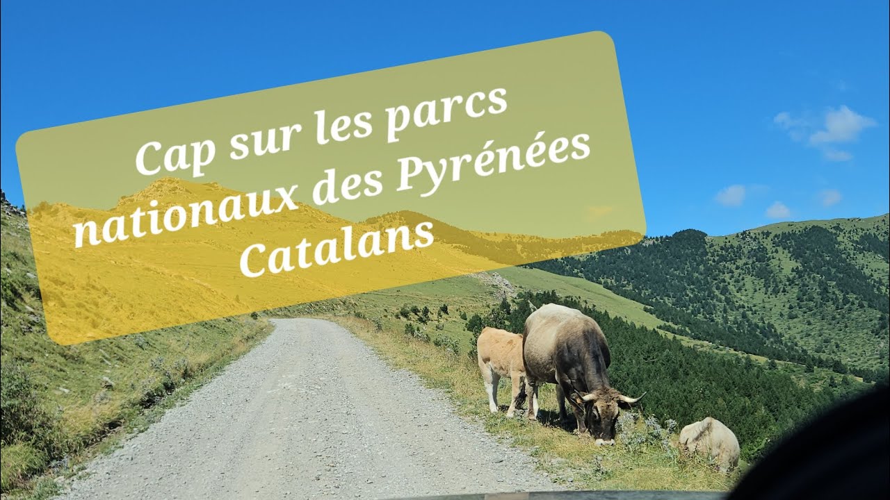 Cap sur les Pyrénées Catalans 