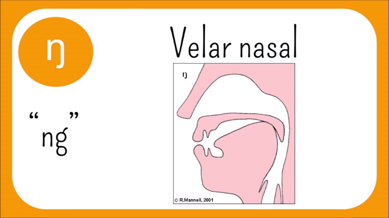 The Sounds Of English, Episode 3: Nasals and Approximants (Sonorants)