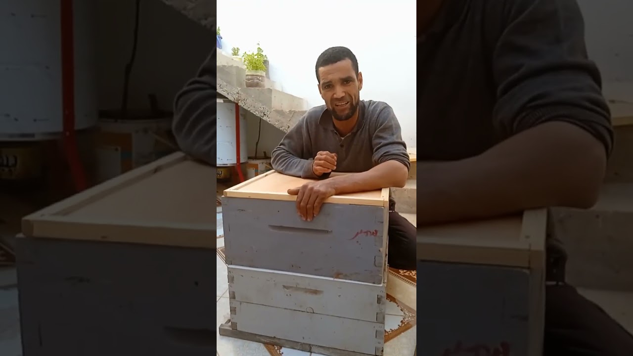 كيقية تربية الملكات