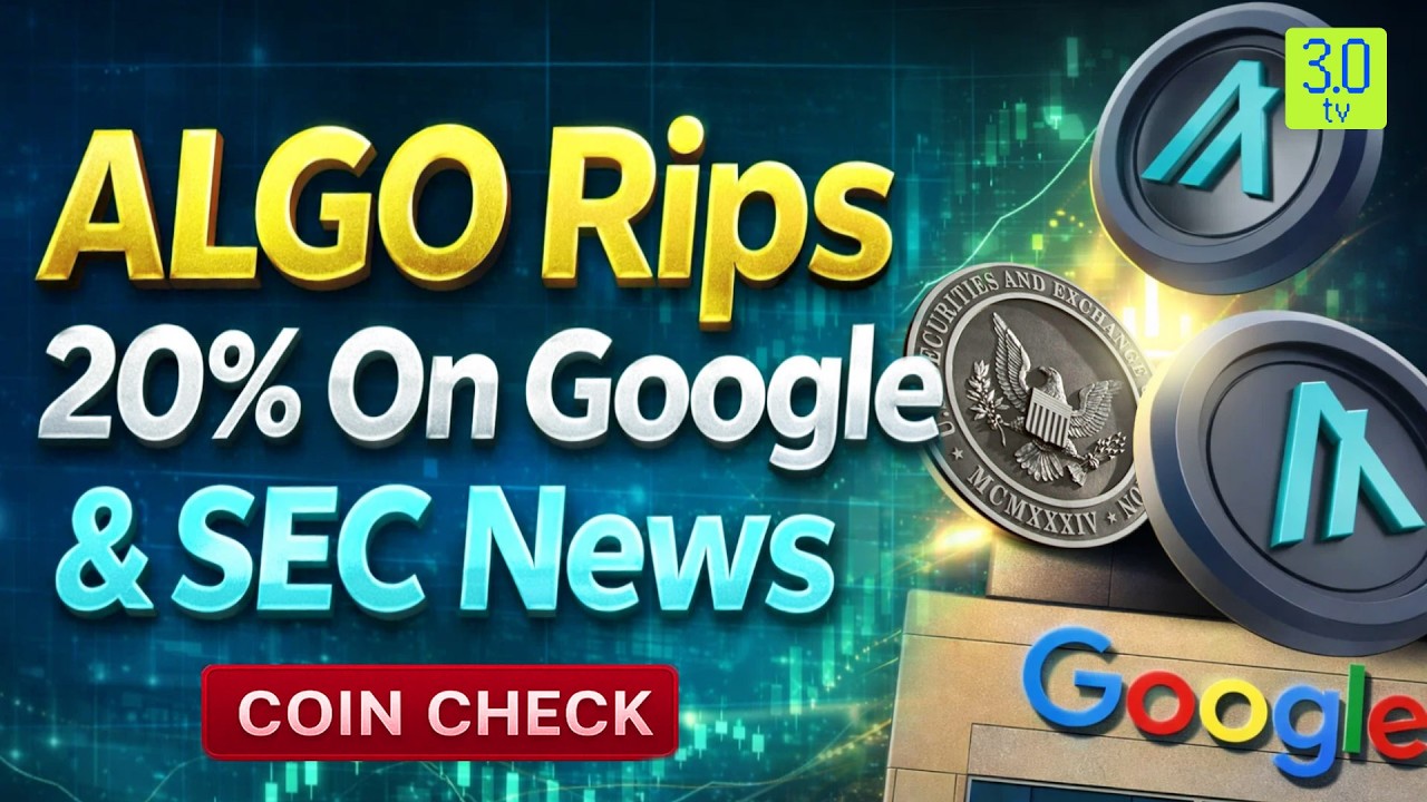 Algorand (ALGO) критикует квантовую теорию Google &mdash; SEC называет её цифровым товаром |COINCHECK| ...